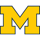 Team Michigan logo