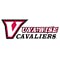 Virginia-Wise logo