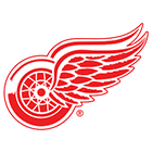 Team Detroit logo