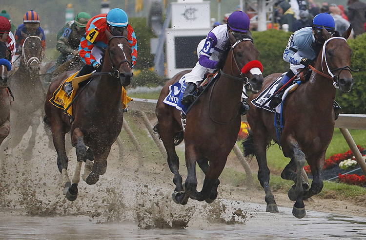 Preakness Stakes betting odds horse-by-horse preview and picks