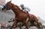 Belmont Stakes Justify horse racing betting odds
