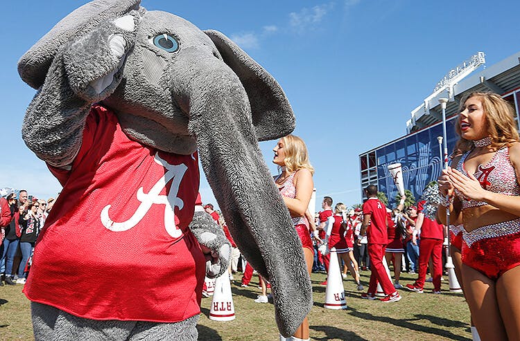 Alabama Crimson Tide Mascot Big Al