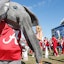 Alabama Crimson Tide Mascot Big Al