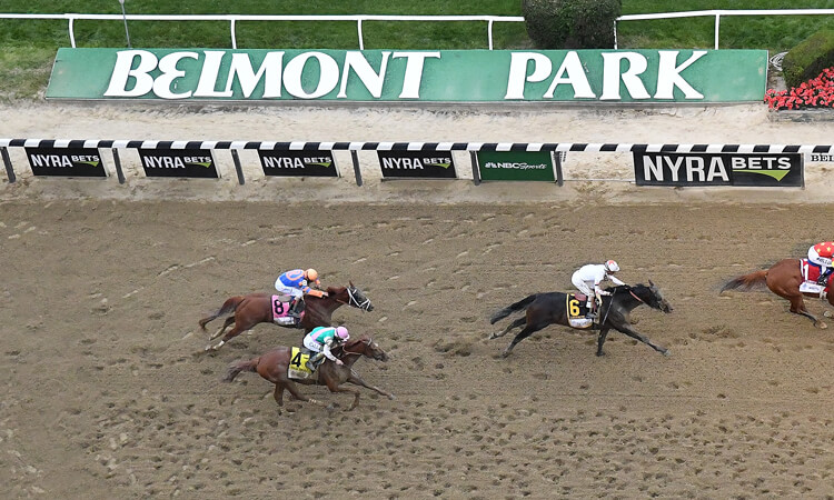 Horses race in the Belmont Stakes.