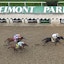 Horses race in the Belmont Stakes.