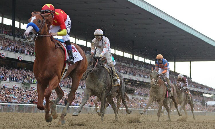 Horses race in the Belmont Stakes
